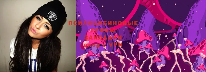 Псилоцибиновые грибы MAGIC MUSHROOMS  Красавино 